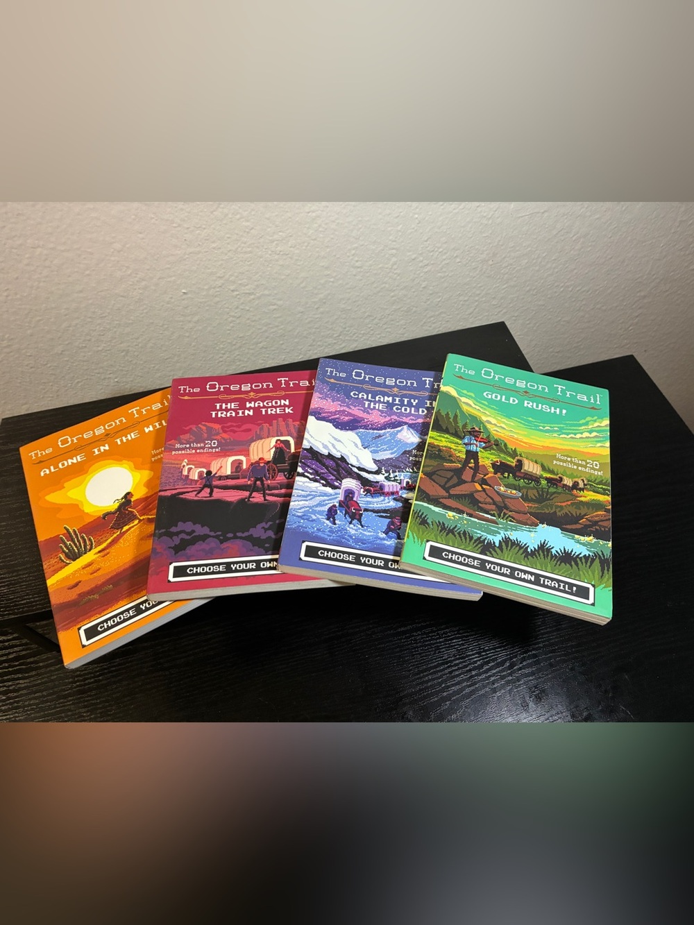 The Oregon Trail Books For Young Readers 4 Books Boxed Set 2018